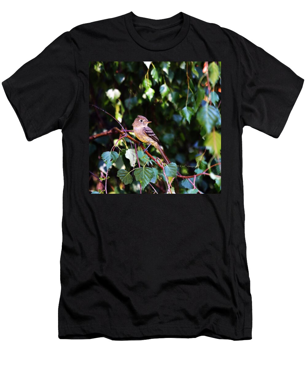 Bird T-Shirt featuring the photograph Cordilleran Flycatcher by Kae Cheatham