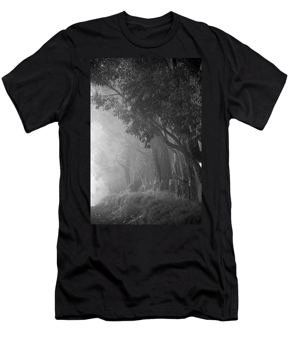 Trees T-Shirt featuring the photograph Corridor of Mist by Lori Seaman