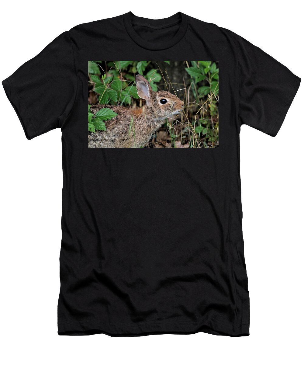 Nature T-Shirt featuring the photograph Cottontail Bunny Breakfast by Sheila Brown