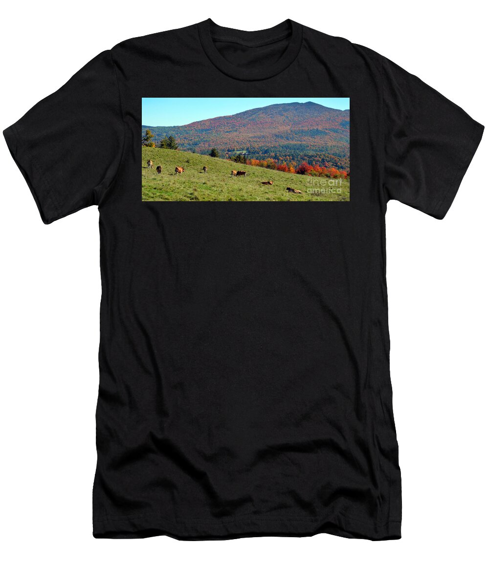 Cows T-Shirt featuring the photograph Cows Enjoying Vermont Autumn by Catherine Sherman