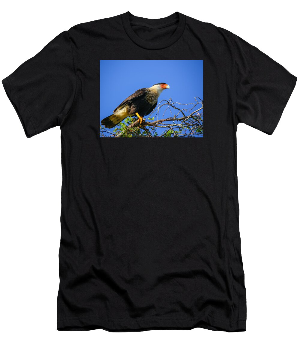 Bird T-Shirt featuring the photograph Crested Caracar by Dart Humeston