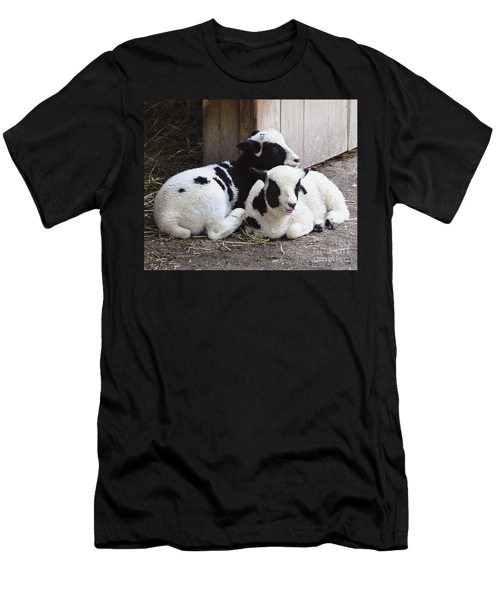Diane Berry T-Shirt featuring the painting Cuddle Buddies by Diane E Berry