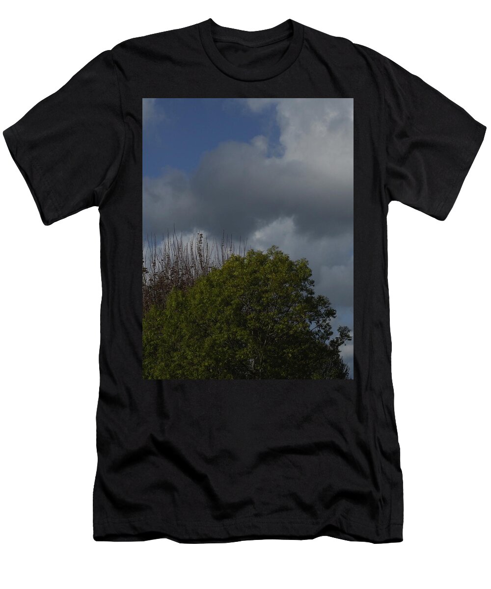  T-Shirt featuring the photograph Cumulus 14 and Trees by Richard Thomas