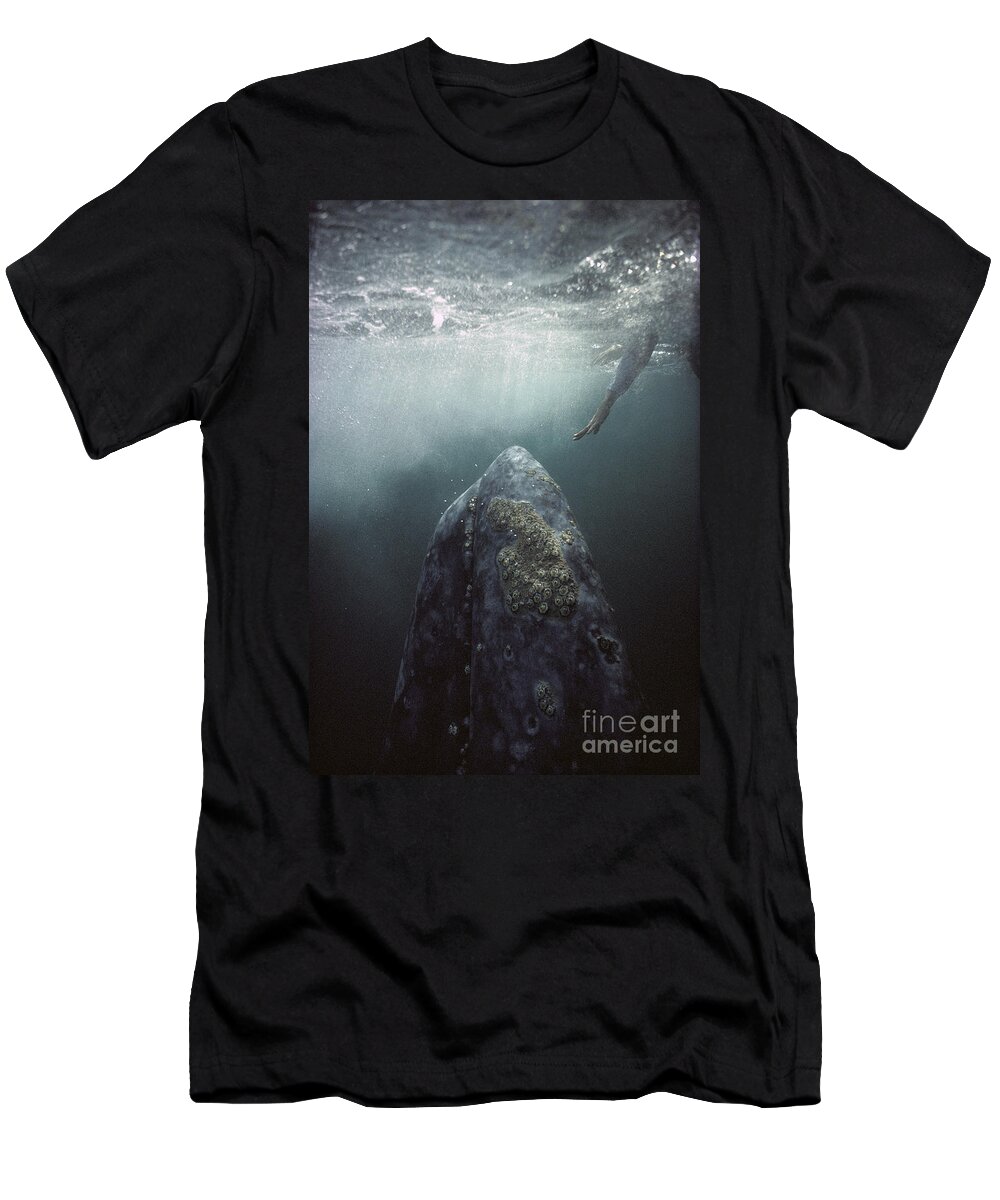 00143390 T-Shirt featuring the photograph Curious Gray Whale and Tourist by Tui De Roy