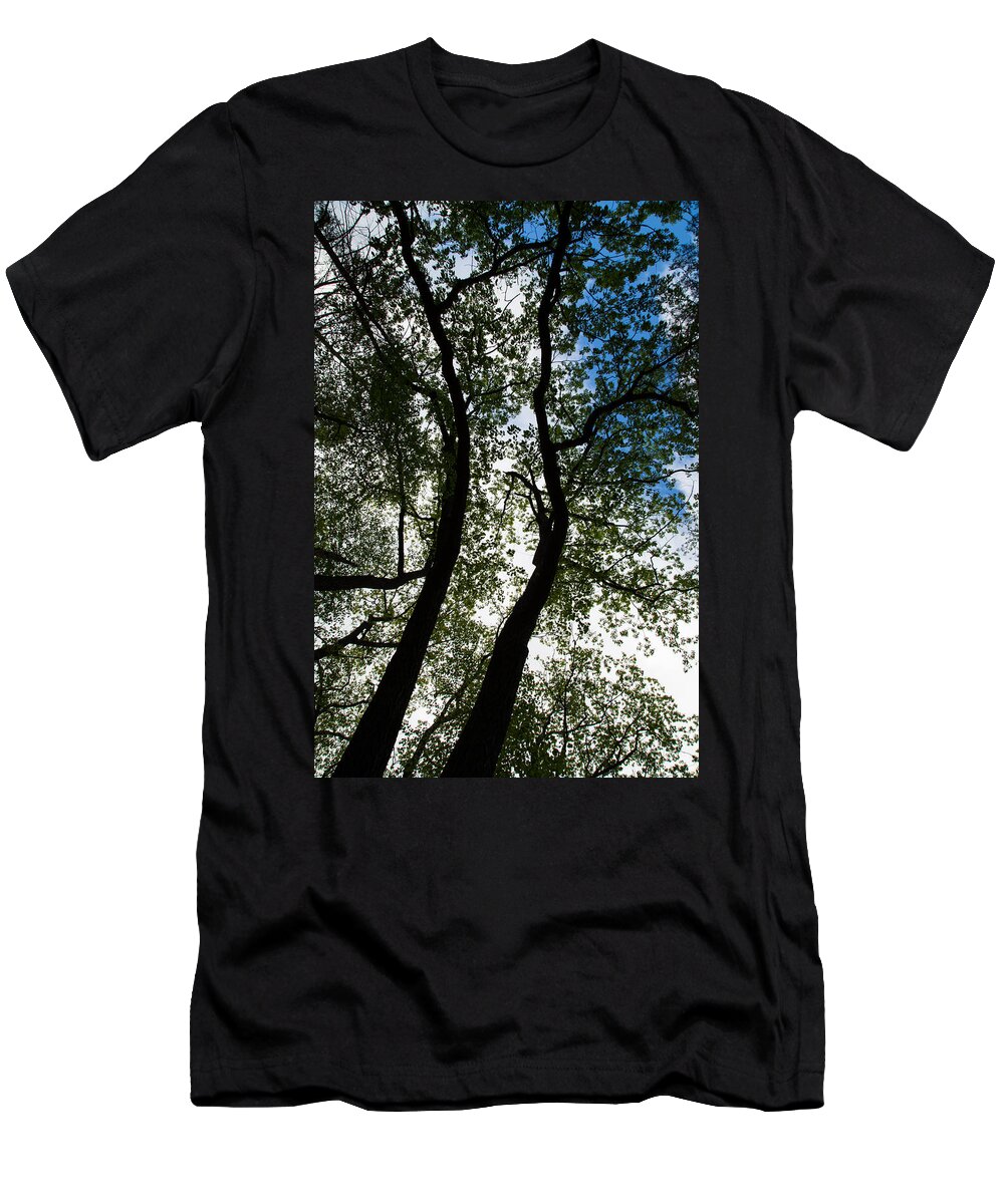 Curvy Trees T-Shirt featuring the photograph Curvy Trees by Karol Livote