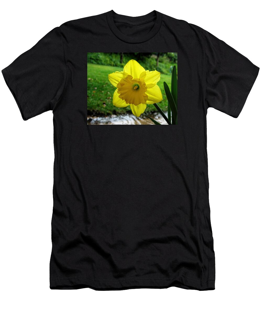 Rain T-Shirt featuring the photograph Daffodile in the Rain by Dorothy Cunningham