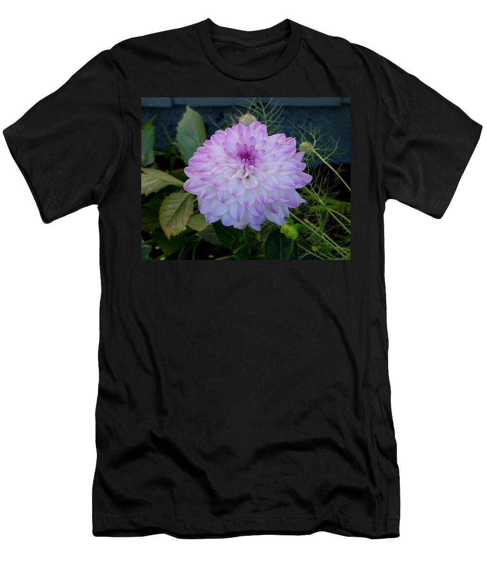 Lavendar T-Shirt featuring the photograph Dahlia Beautiful by Shirley Heyn