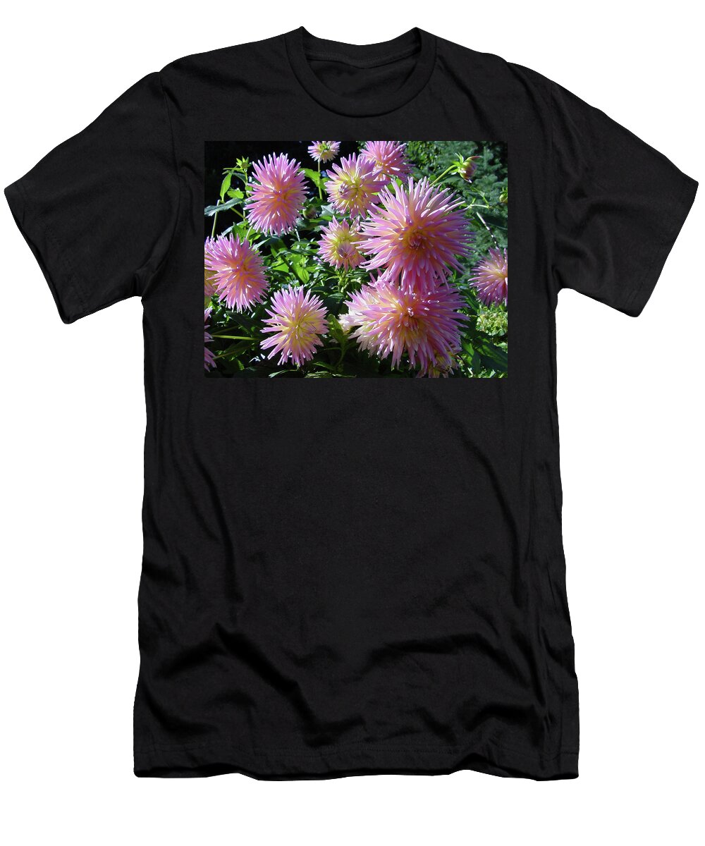 Group T-Shirt featuring the photograph Dahlia Group by Shirley Heyn