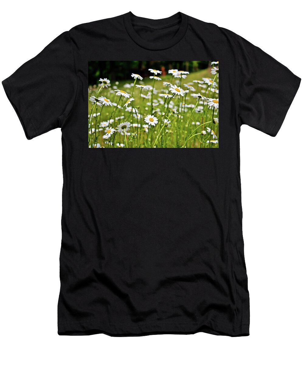 Daisies T-Shirt featuring the photograph Daisies in the Field by Marisa Geraghty Photography