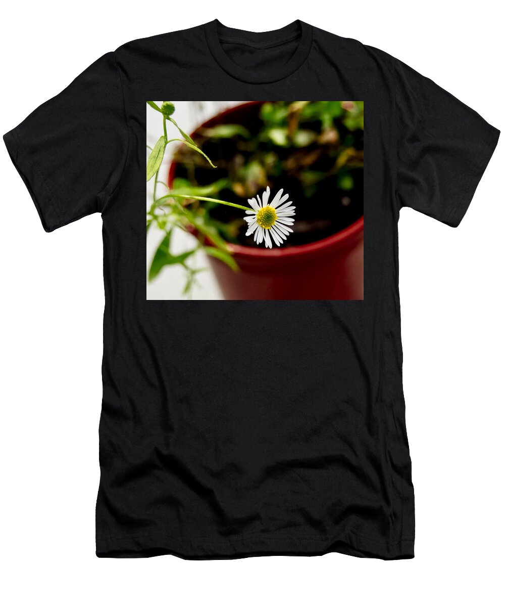 Daisy T-Shirt featuring the photograph Daisy or What. by Elena Perelman