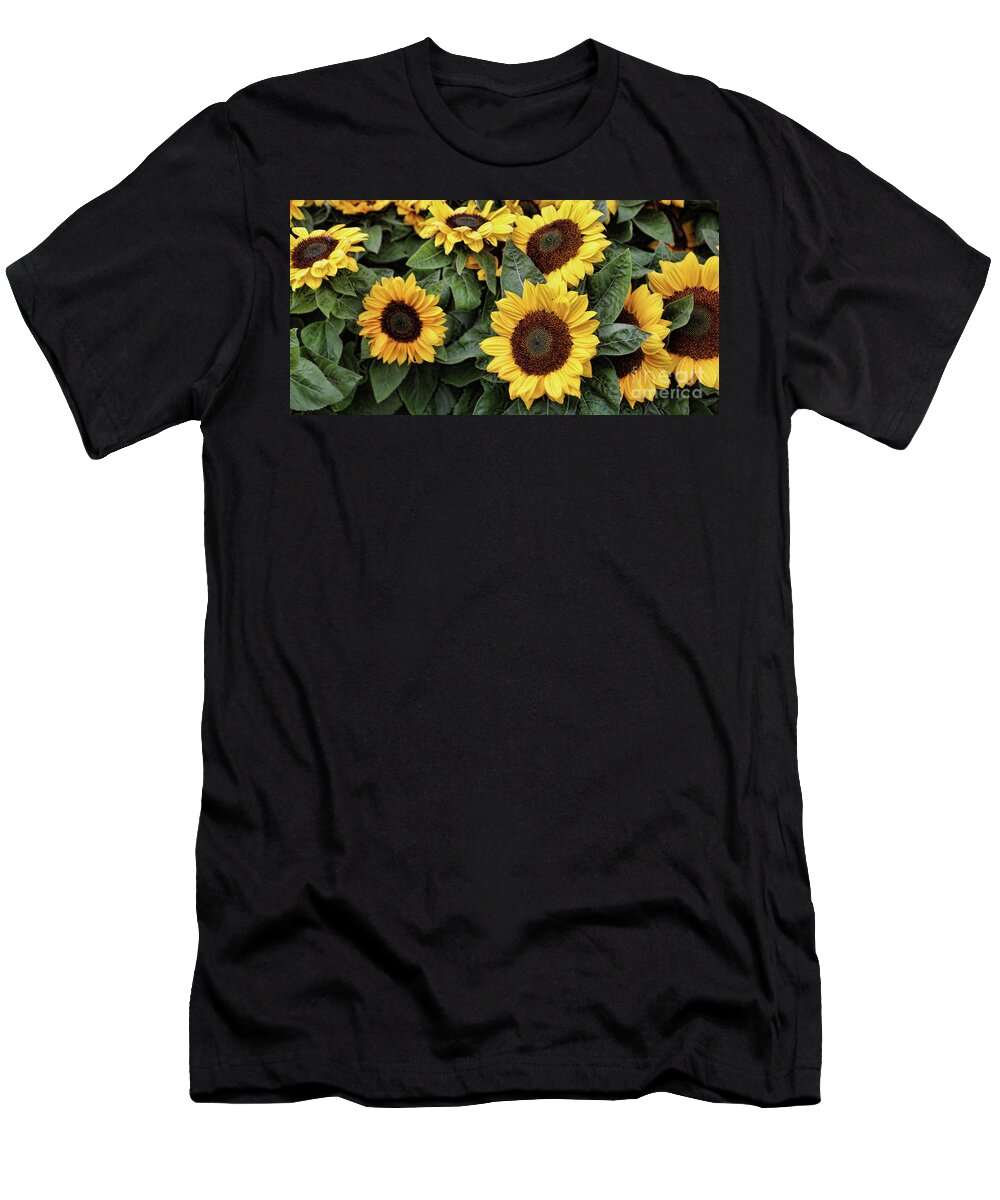 Vietnam T-Shirt featuring the photograph Daisy yellow by Chuck Kuhn