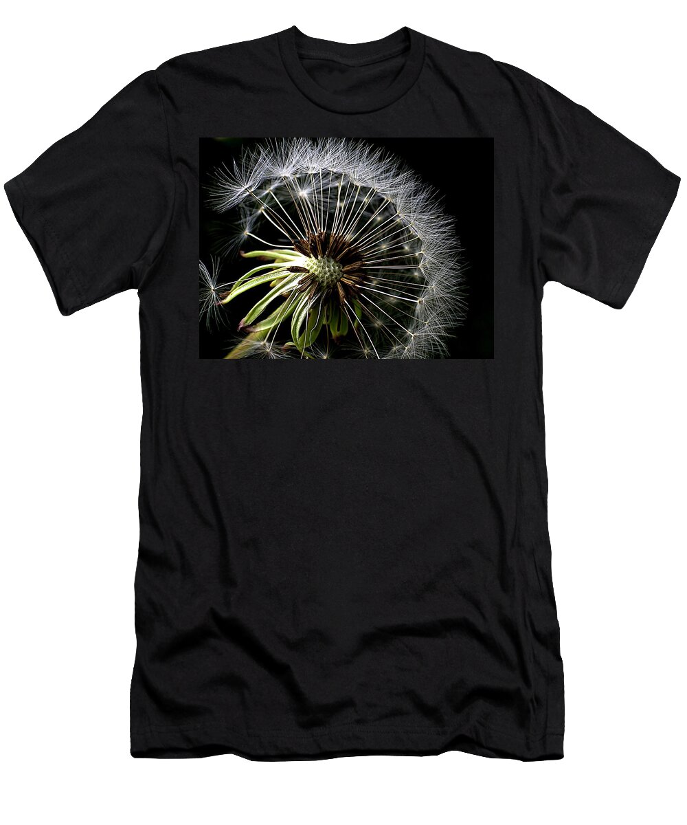 White Seeds T-Shirt featuring the photograph Dark Dandelion Time by Karen McKenzie McAdoo
