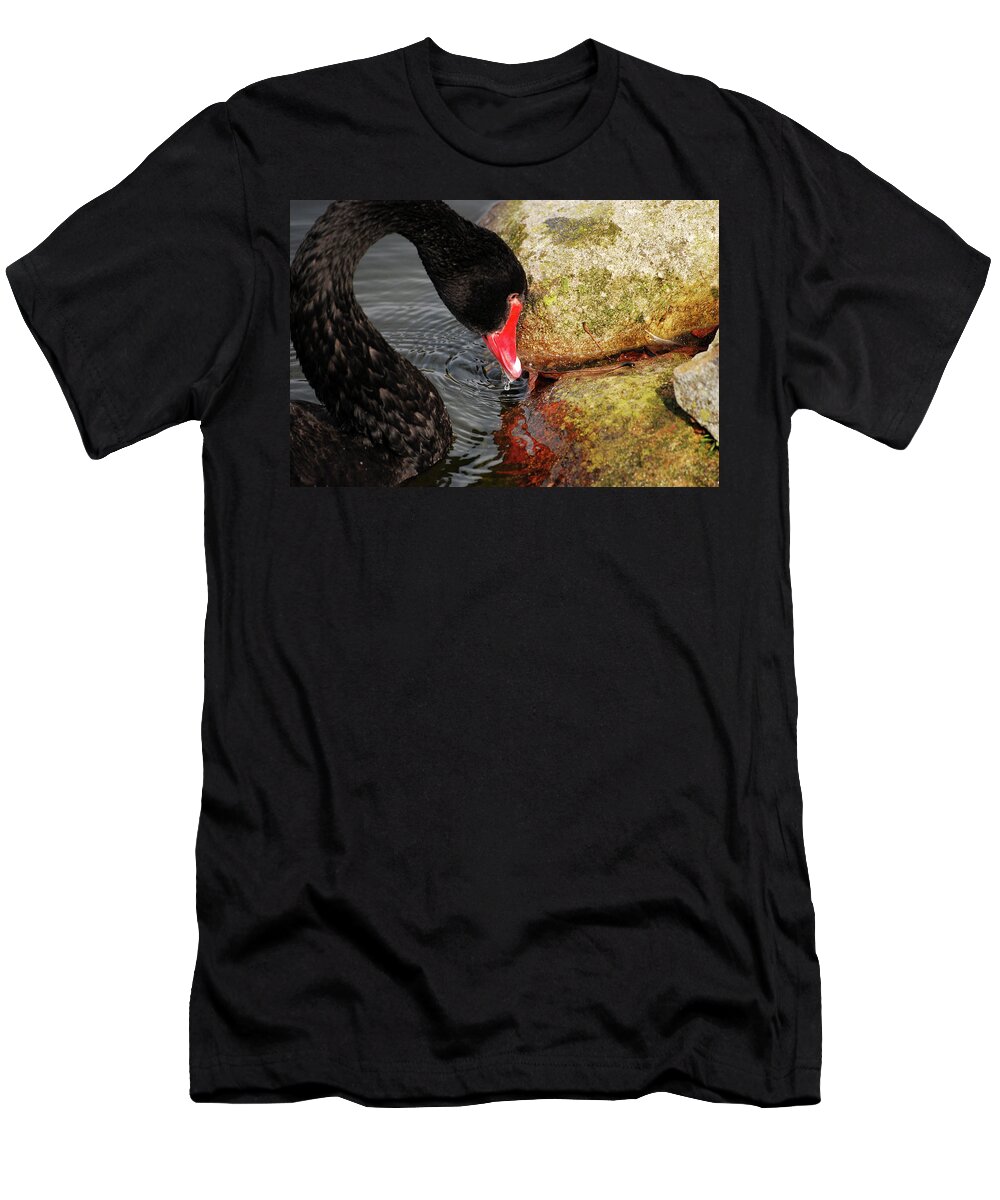 Swan T-Shirt featuring the photograph Dark Plumage by Lori Tambakis