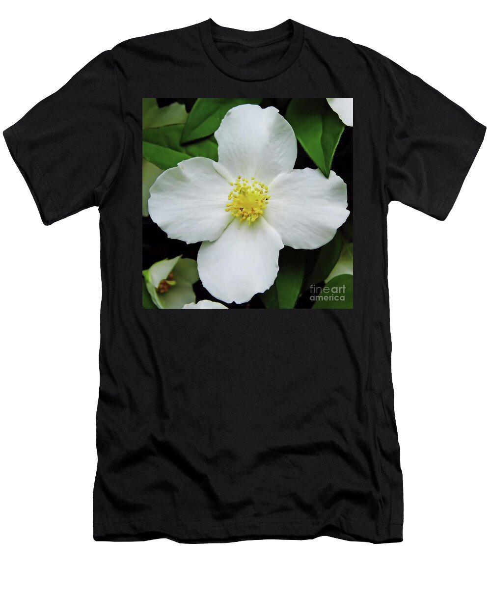 Dogwood T-Shirt featuring the photograph Delicate Dogwood by D Hackett
