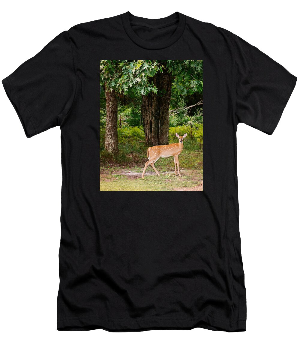 Whitetail Deer T-Shirt featuring the photograph Fawn in the Woods Portrait by Gwen Gibson