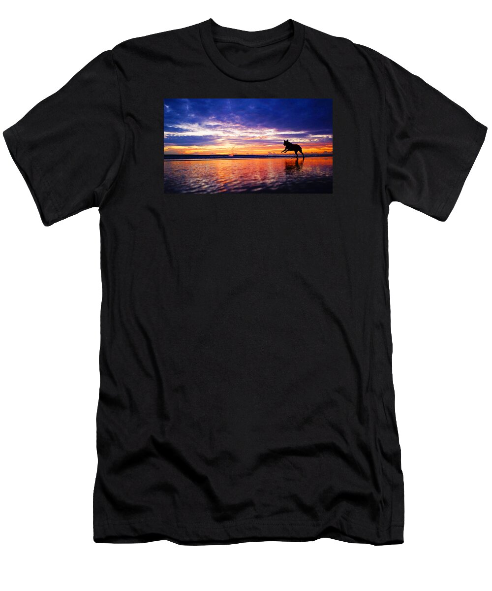 Sunrise T-Shirt featuring the photograph Dog Chasing Stick At Sunrise by Lawrence S Richardson Jr