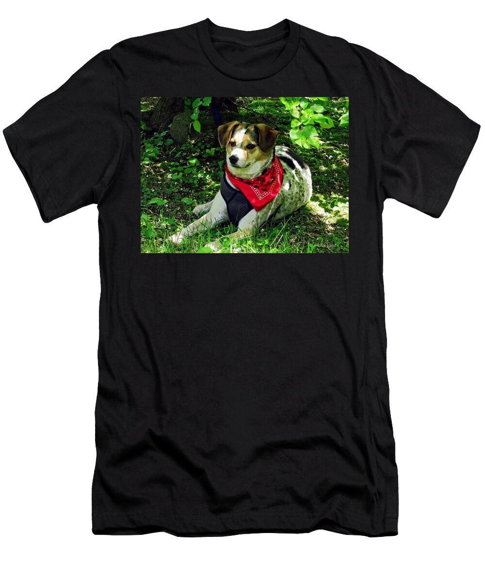 Dog T-Shirt featuring the photograph Dog in Red Scarf by Susan Savad