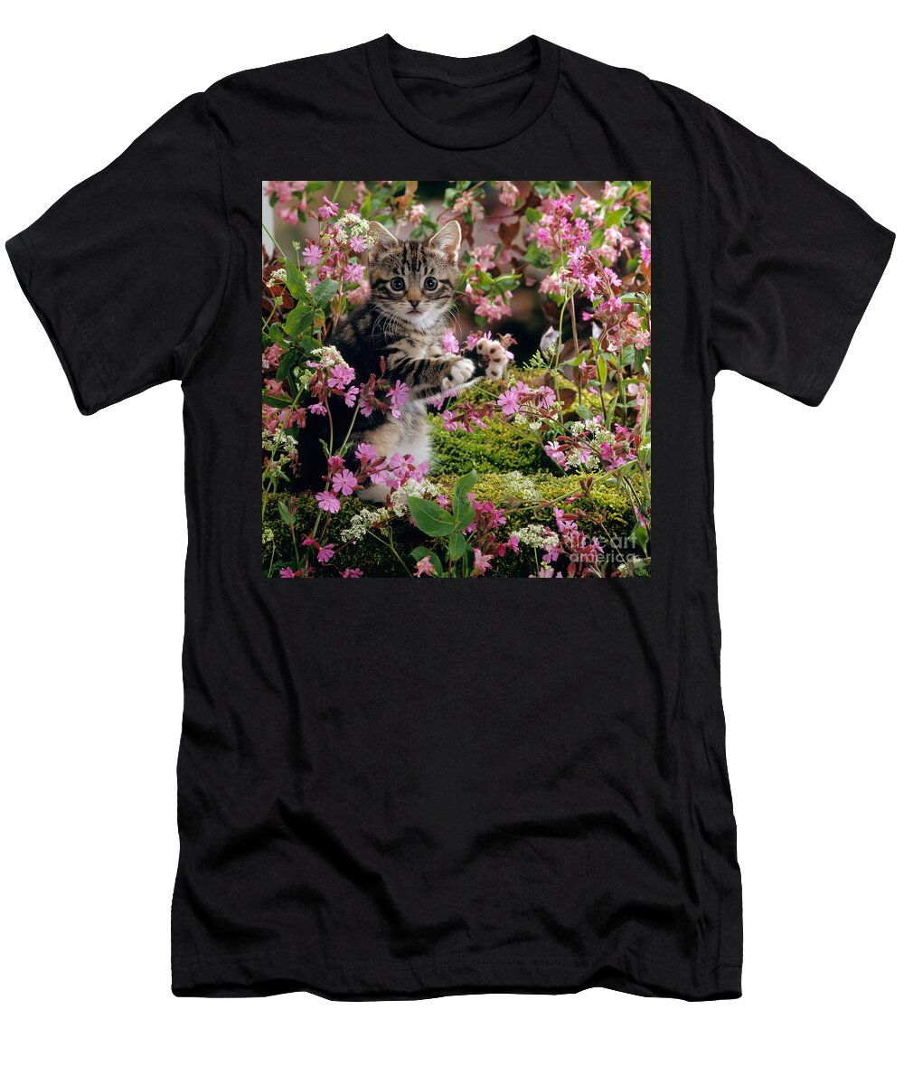 Tabby T-Shirt featuring the photograph Don't Pick the Flowers by Warren Photographic