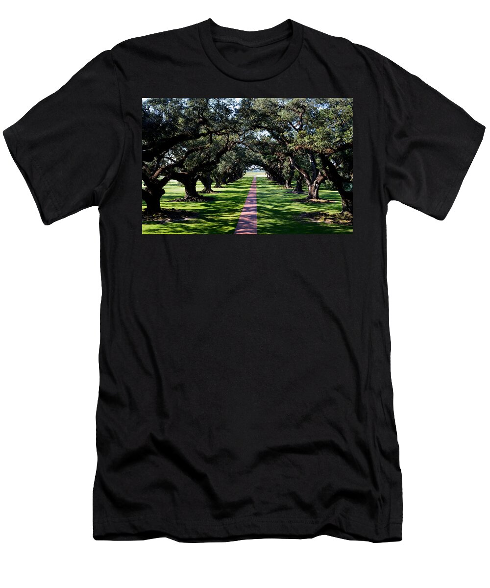 Oak T-Shirt featuring the photograph Down the Path by Maggy Marsh