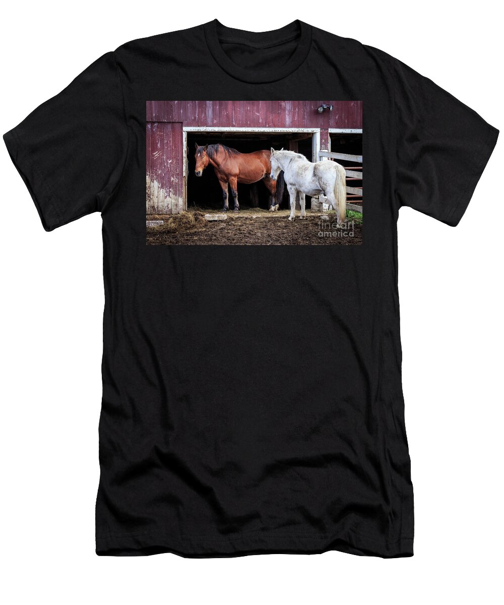 Draft Horses T-Shirt featuring the photograph Draft Horses by Jim Gillen