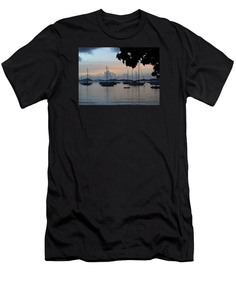 St John T-Shirt featuring the photograph Dreams Do Come True by Fiona Kennard