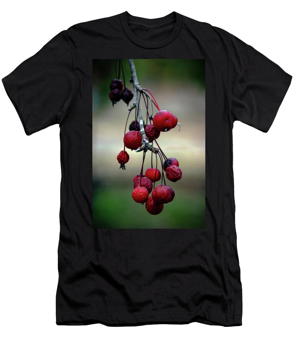 Dried Fruit T-Shirt featuring the photograph Dried Fruit 5588 H_2 by Steven Ward