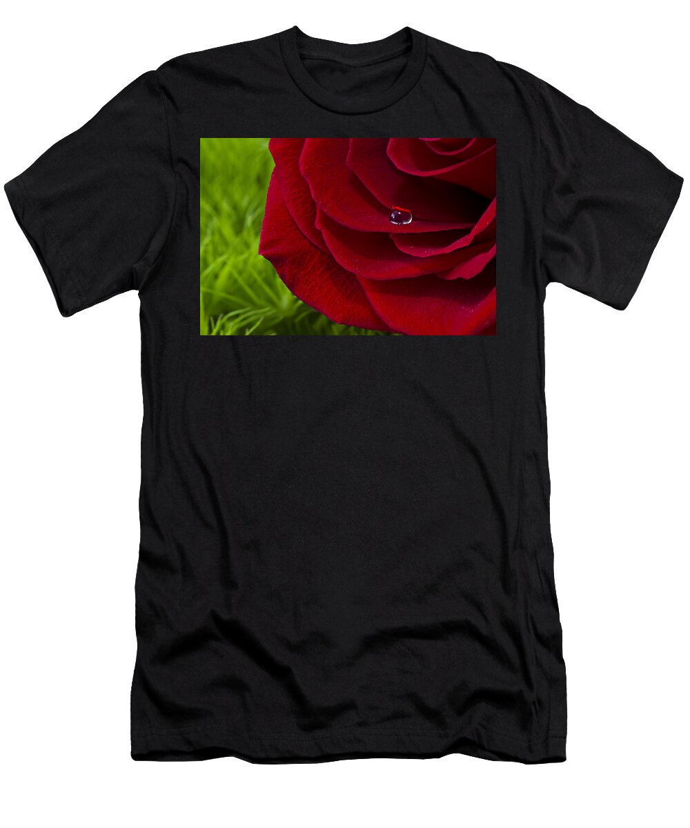 Wall Art T-Shirt featuring the photograph Drop on a Rose by Marlo Horne