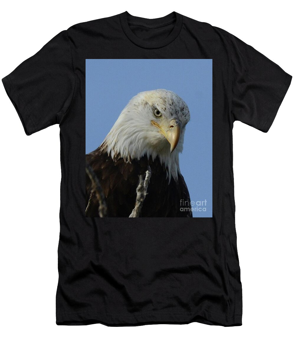 Bald Eagle T-Shirt featuring the photograph Eagle Eye by Robert Buderman