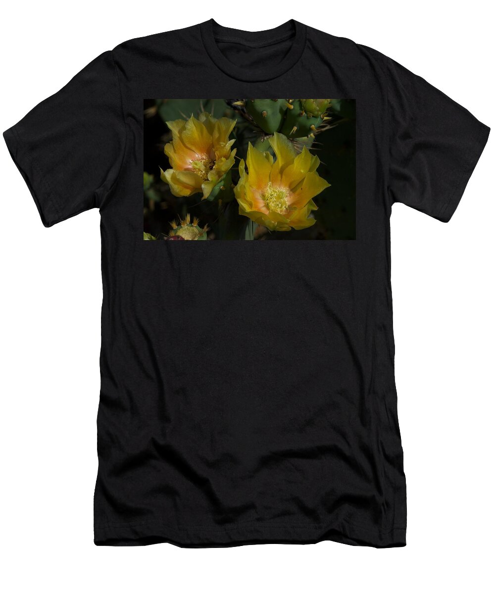 Florida T-Shirt featuring the photograph Eddie's Dream by Joseph Yarbrough