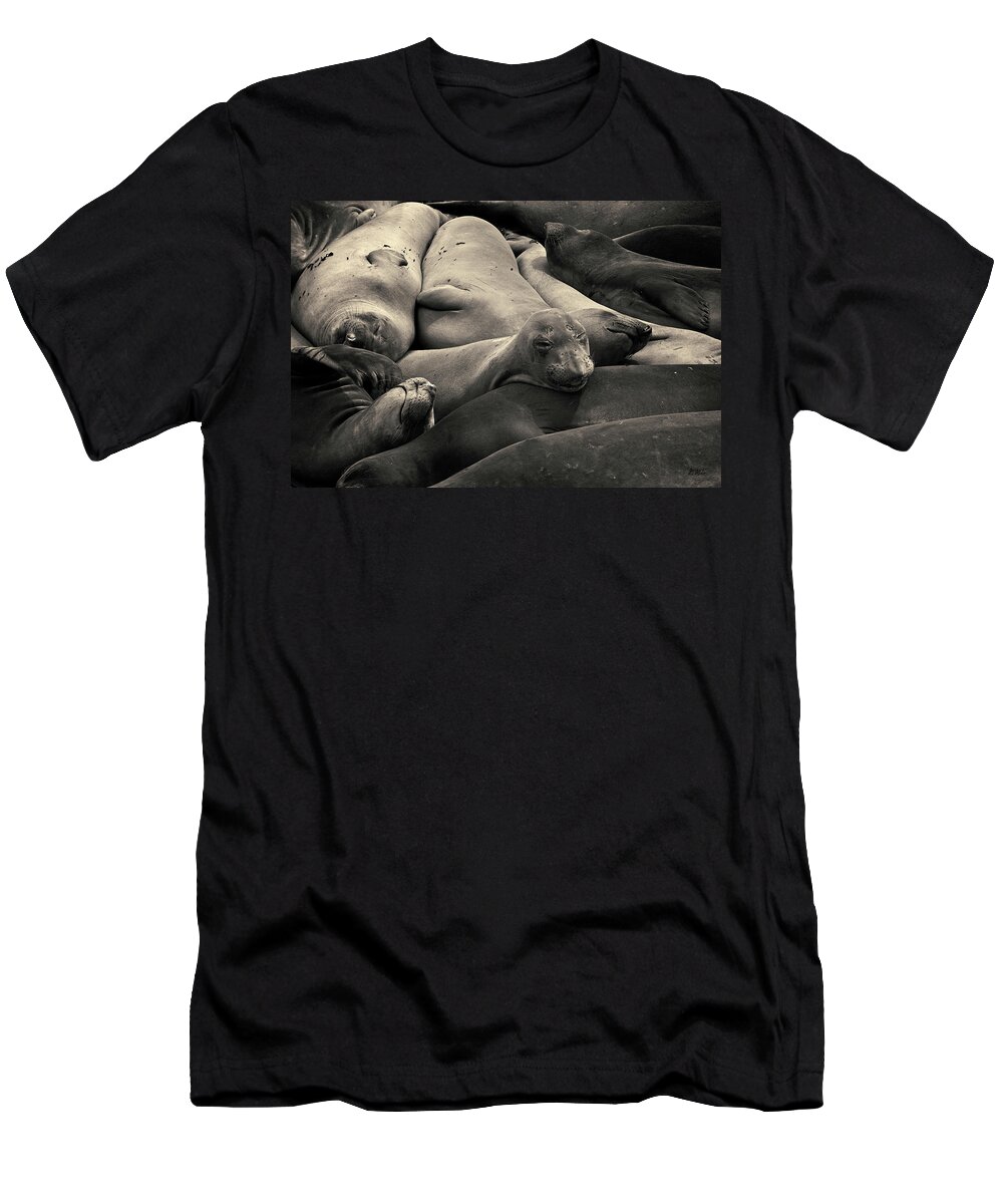 Proboscis T-Shirt featuring the photograph Elephant Seals I Toned by David Gordon