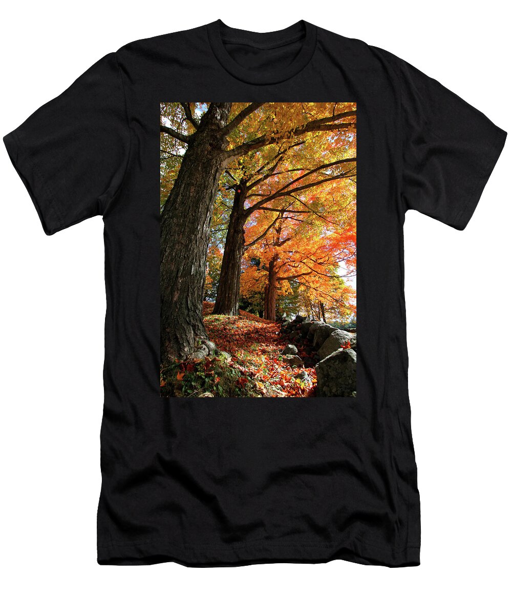 Photography T-Shirt featuring the photograph Emery Farm Trees Fall Foliage by Brett Pelletier