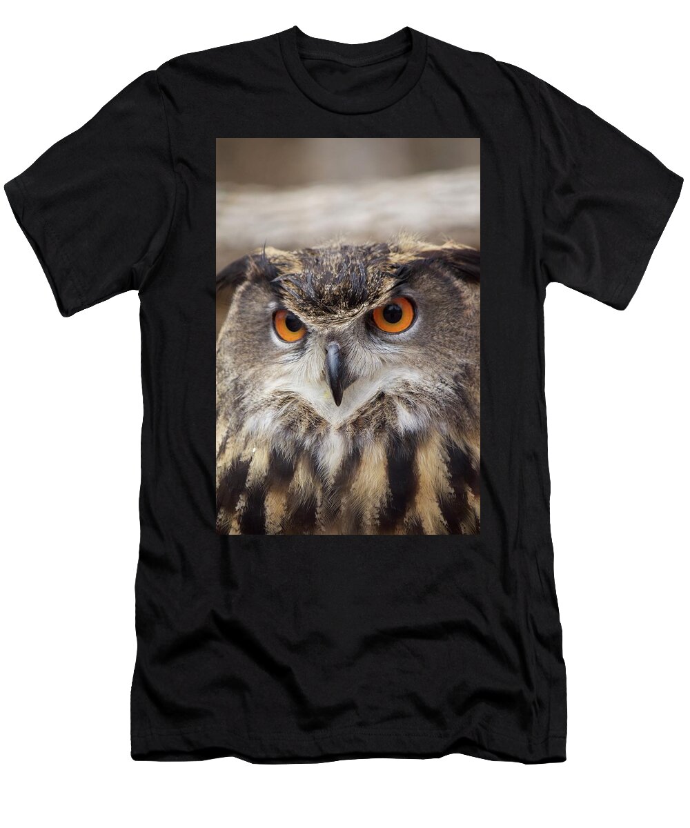Owl T-Shirt featuring the photograph Eurasian Eagle Owl by Lyn Steuart