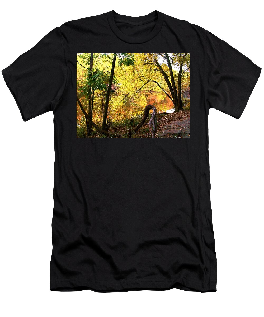 Fall T-Shirt featuring the photograph Fall At Lincoln Lake	 by Terry Anderson