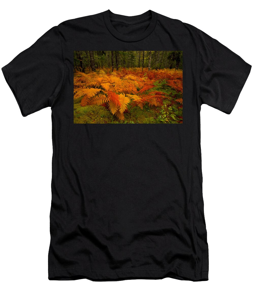 Autumn T-Shirt featuring the photograph Fall Cinnamon Fern Meadow #1 by Irwin Barrett
