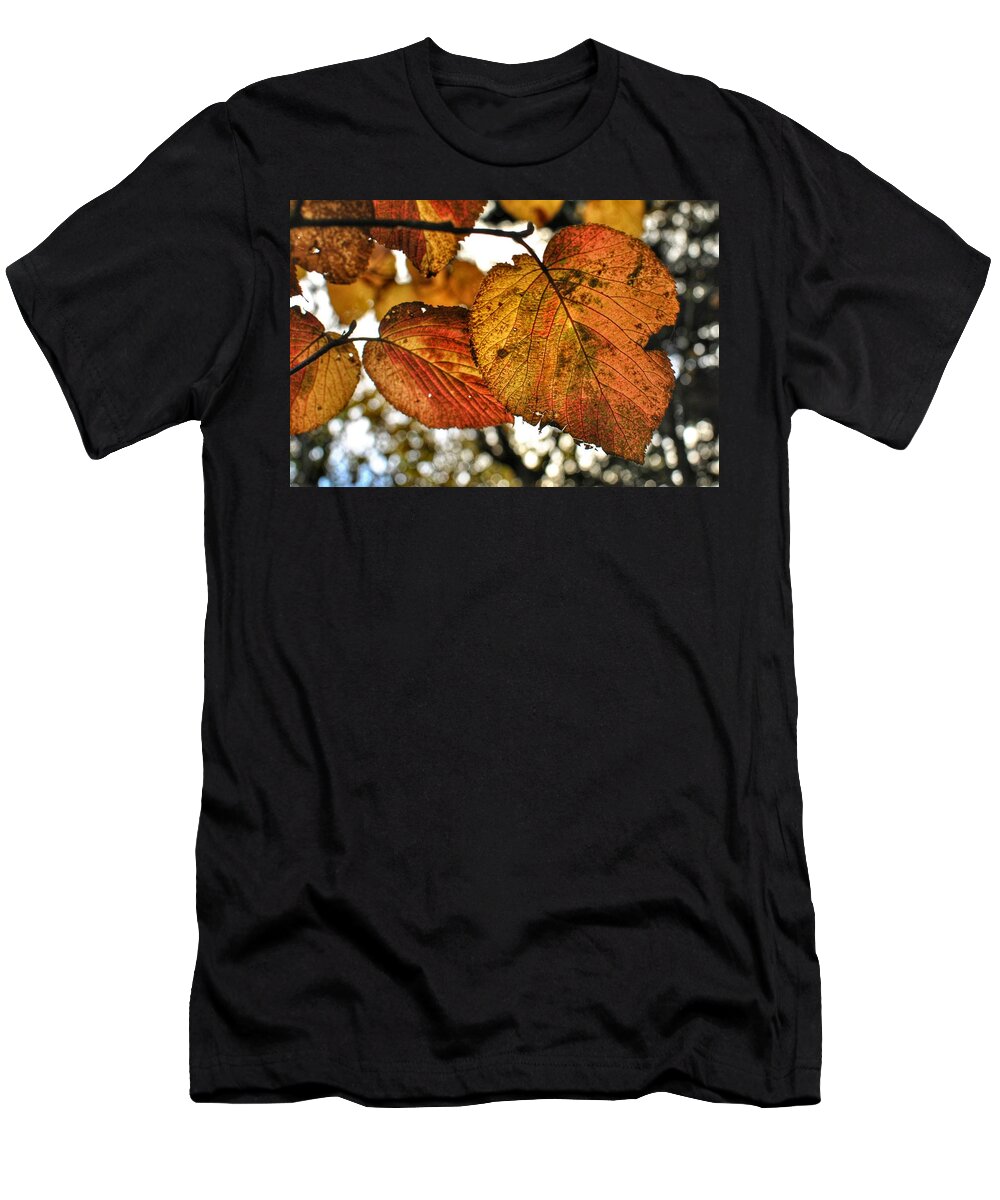 Fall Leaves T-Shirt featuring the photograph Fall Leaves by Doug Ash