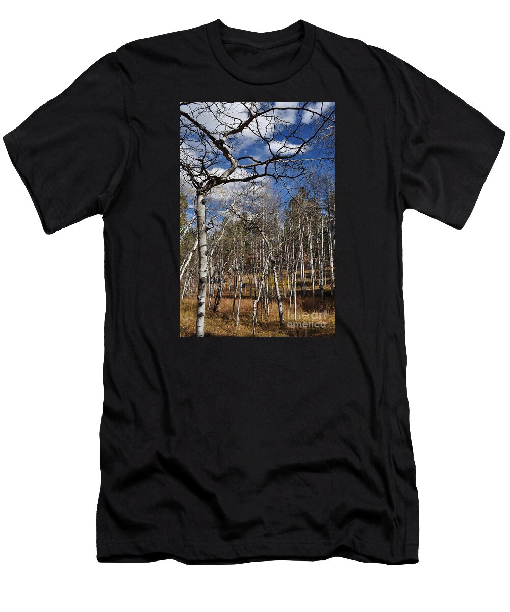 Fall T-Shirt featuring the photograph Fall Palette by Anjanette Douglas