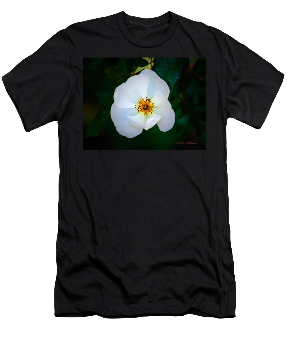 Fall T-Shirt featuring the photograph Fall White Flower by Ed Peterson