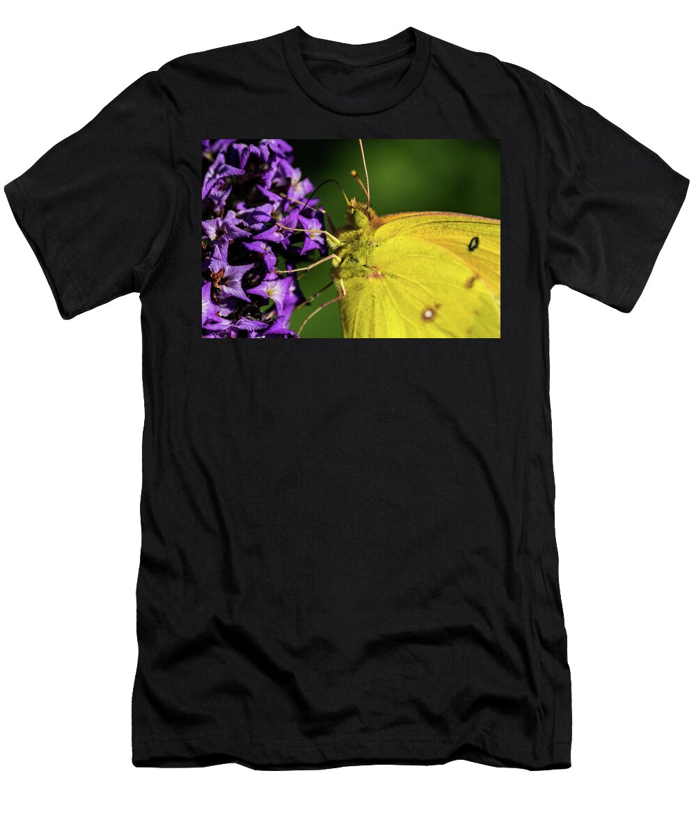 Jay Stockhaus T-Shirt featuring the photograph Feeding Butterfly by Jay Stockhaus