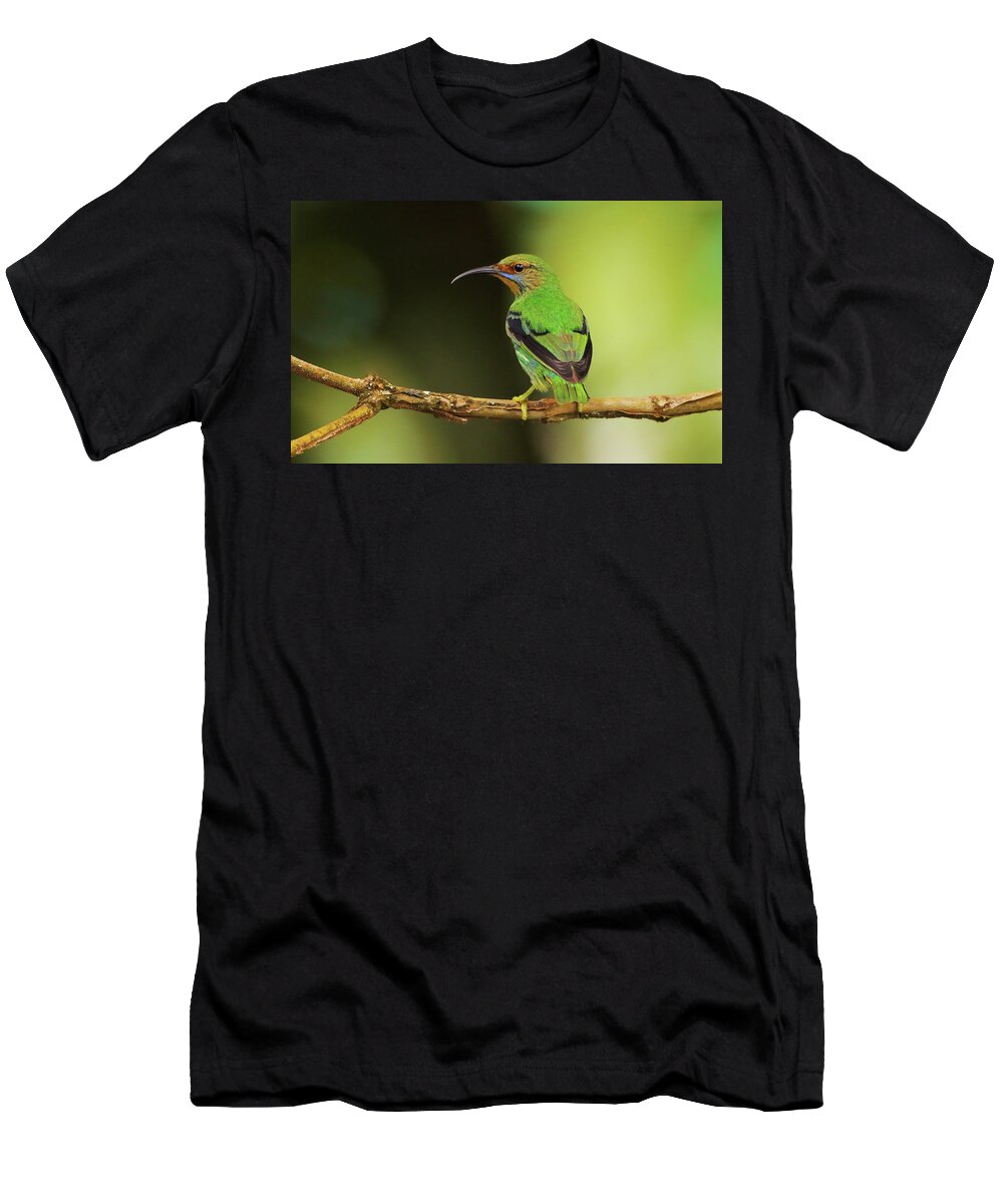 Asa Wright Nature Centre T-Shirt featuring the photograph Female Green Honeycreeper at Trinidad's Asa Wright by Steve Wolfe