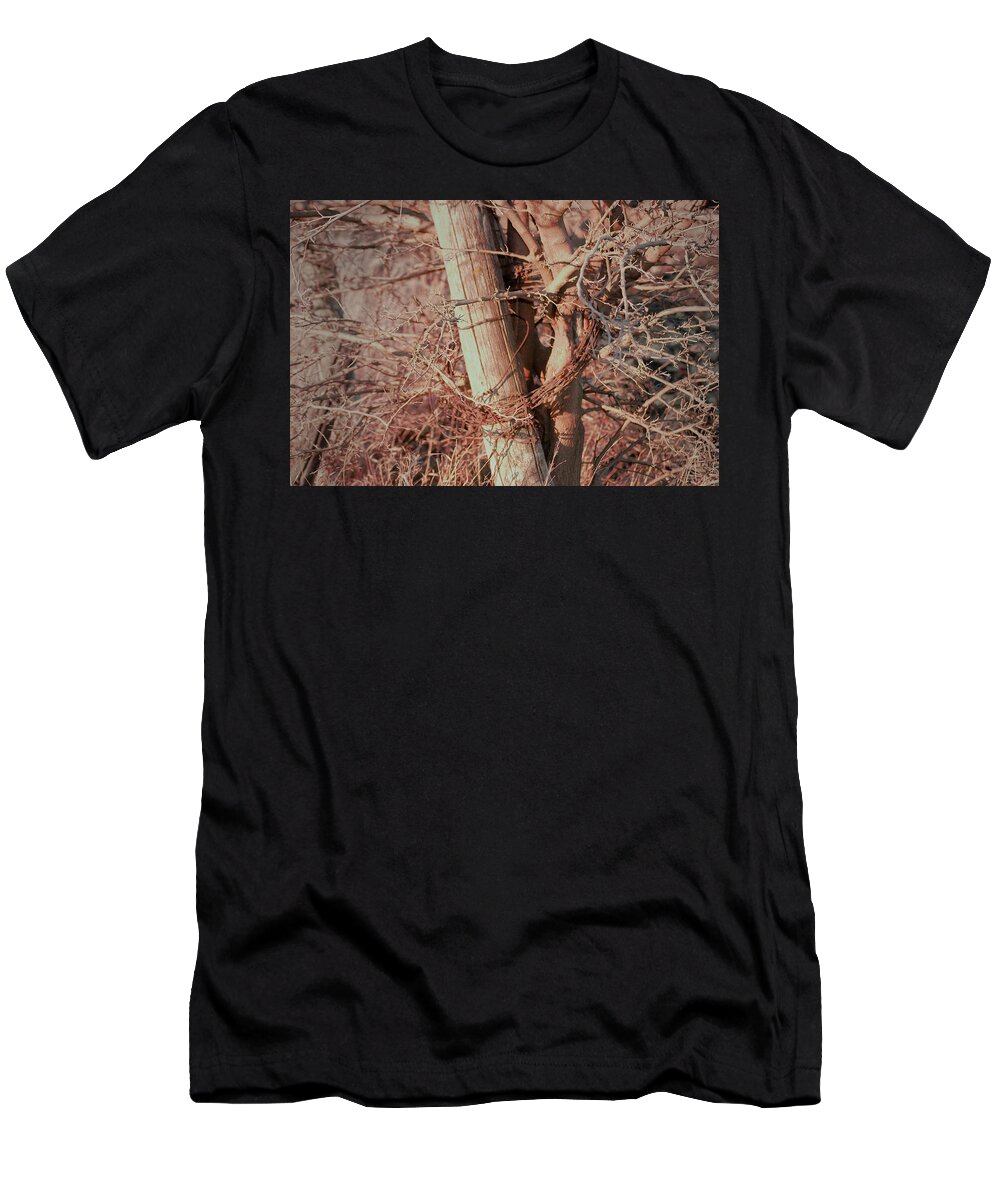 Fence T-Shirt featuring the photograph Fence Post Buddy by Troy Stapek