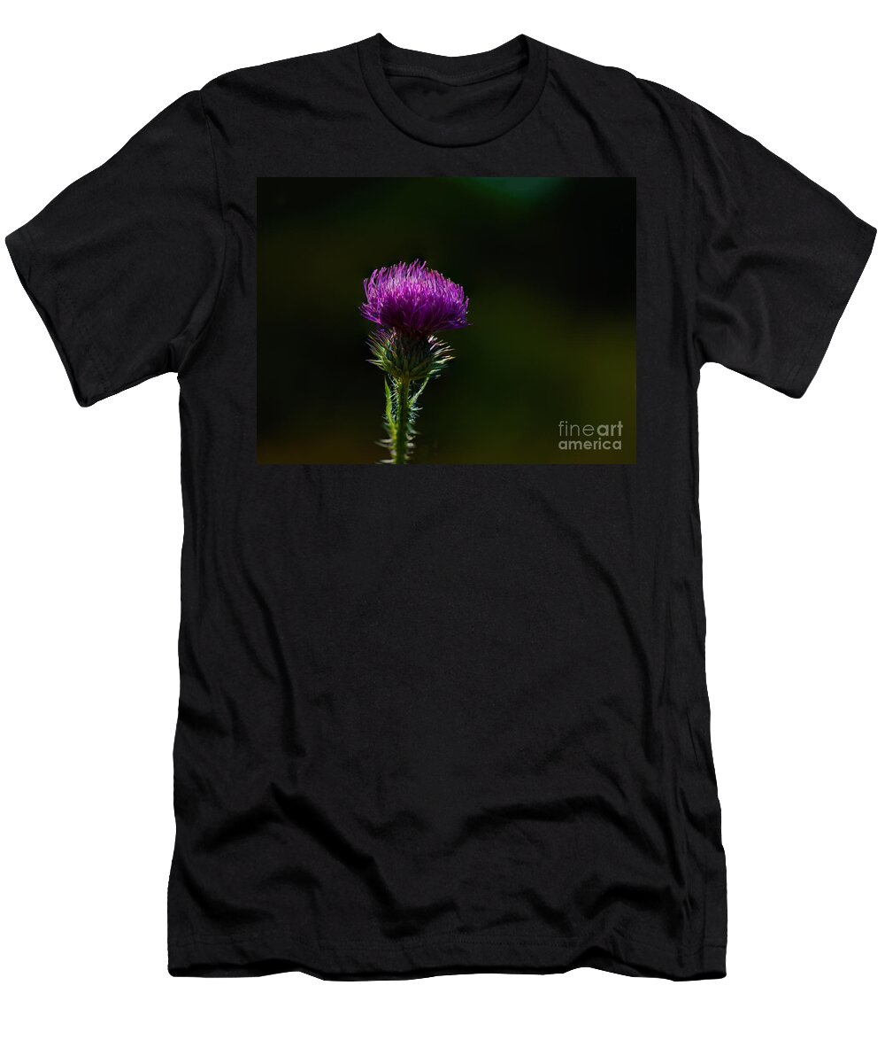 Carduus Discolor T-Shirt featuring the photograph Field Thistle by Roger Monahan