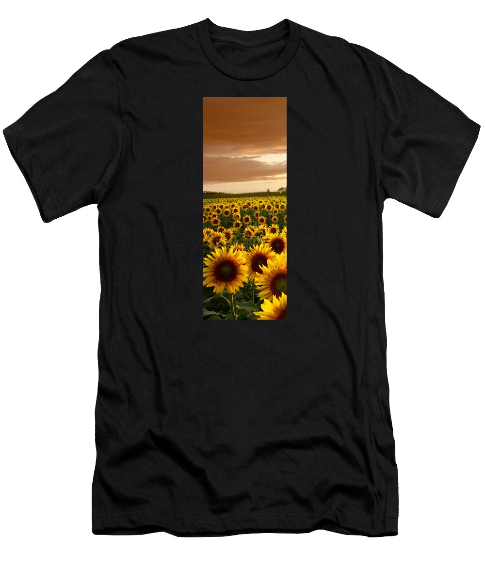American T-Shirt featuring the photograph Fields of Gold Triptek Left Side by Debra and Dave Vanderlaan