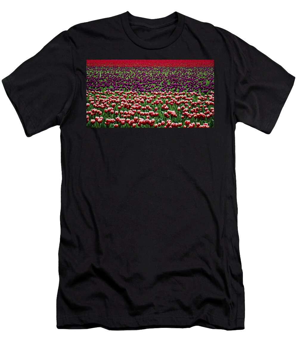 Elegant T-Shirt featuring the photograph Fields of Tulips by Pelo Blanco Photo