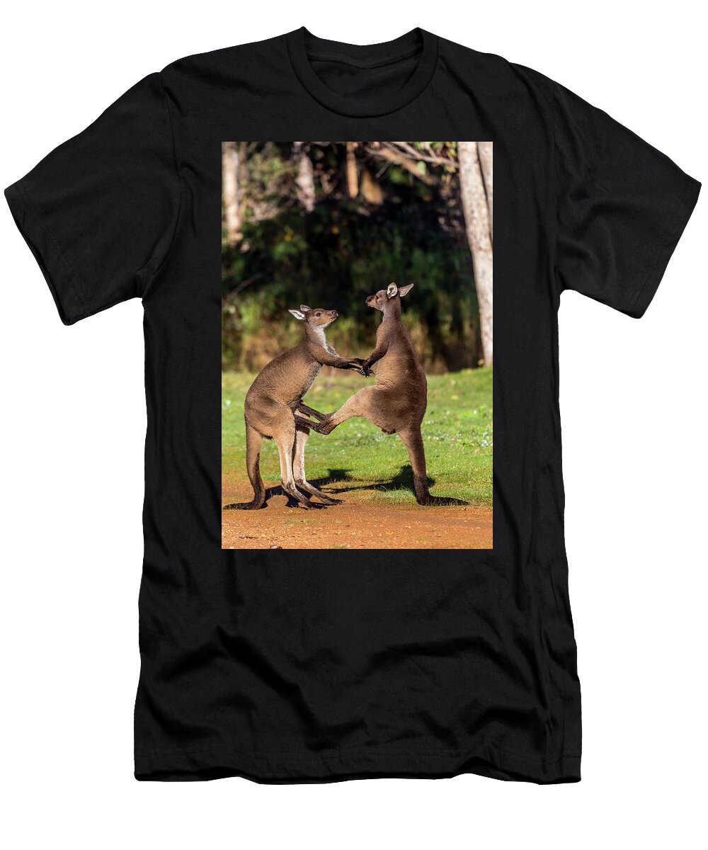 Kangaroo T-Shirt featuring the photograph Fighting Kangaroos by Robert Caddy