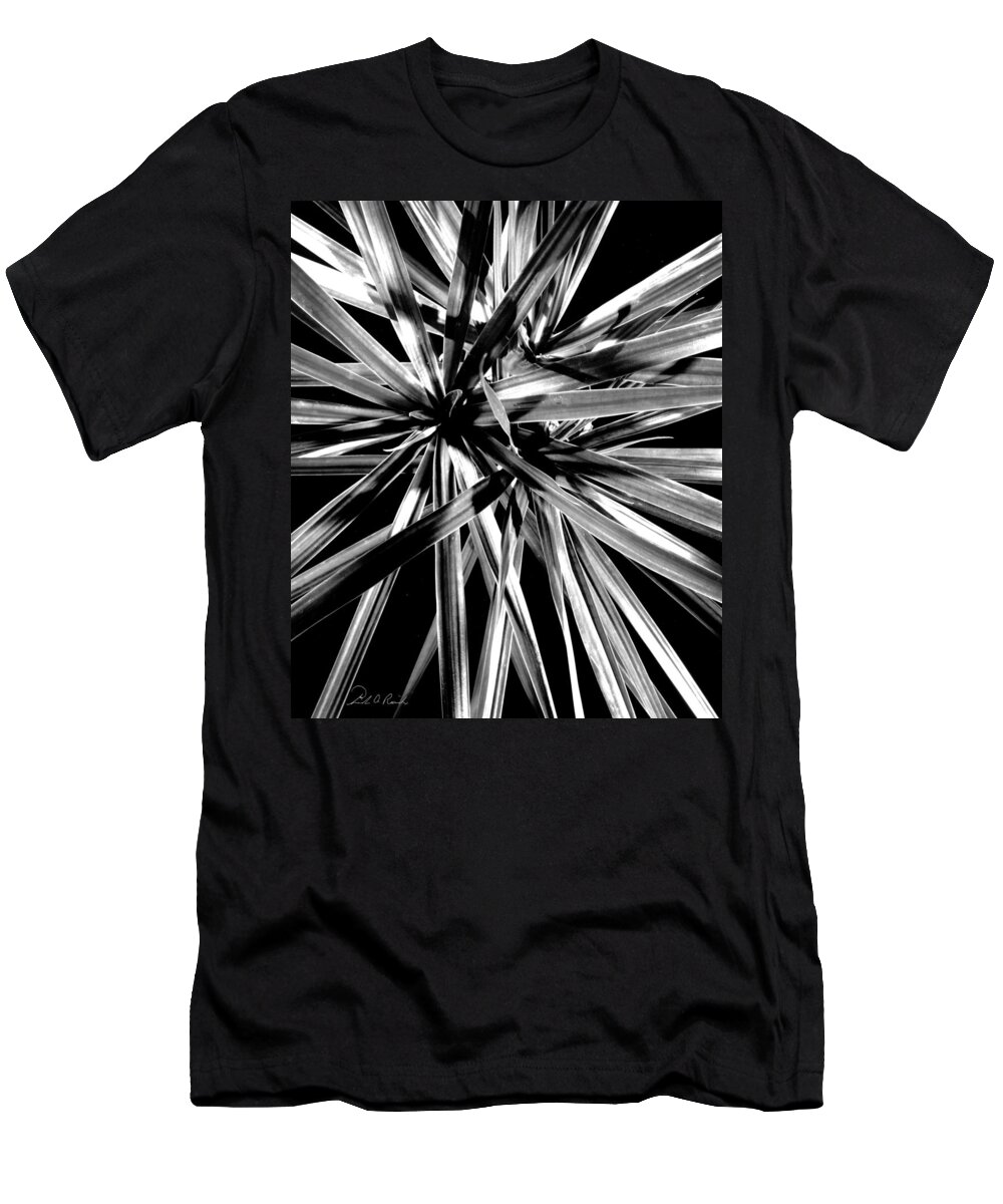 Black & White T-Shirt featuring the photograph Fire Works I by Frederic A Reinecke