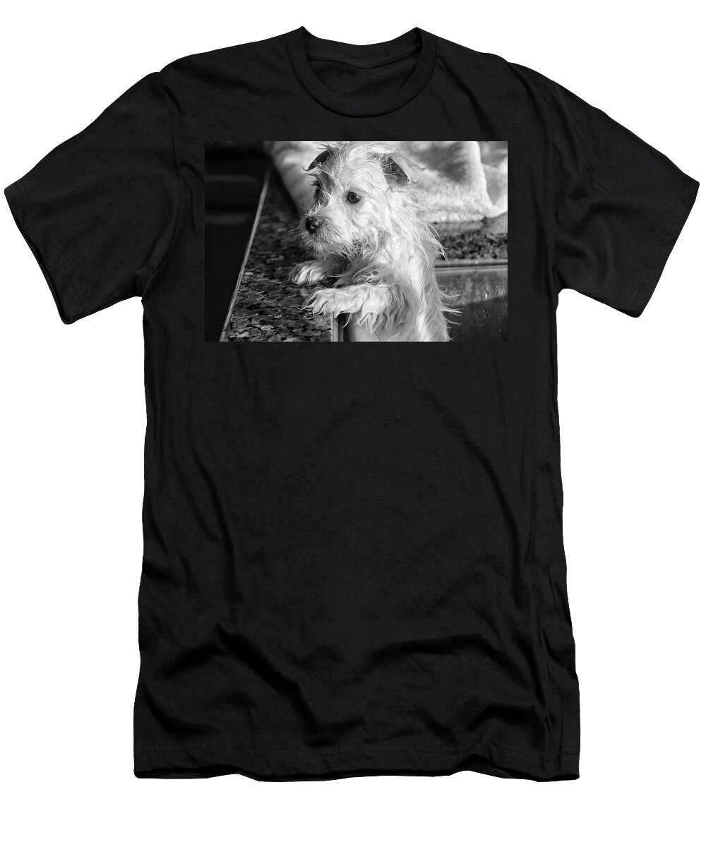 West Highland White Terrier T-Shirt featuring the photograph First Bath by Debra Baldwin