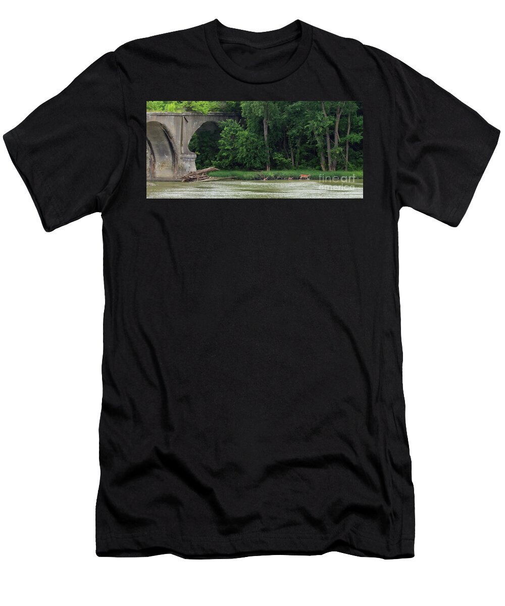 Deer T-Shirt featuring the photograph First River Adventure 7282 by Jack Schultz