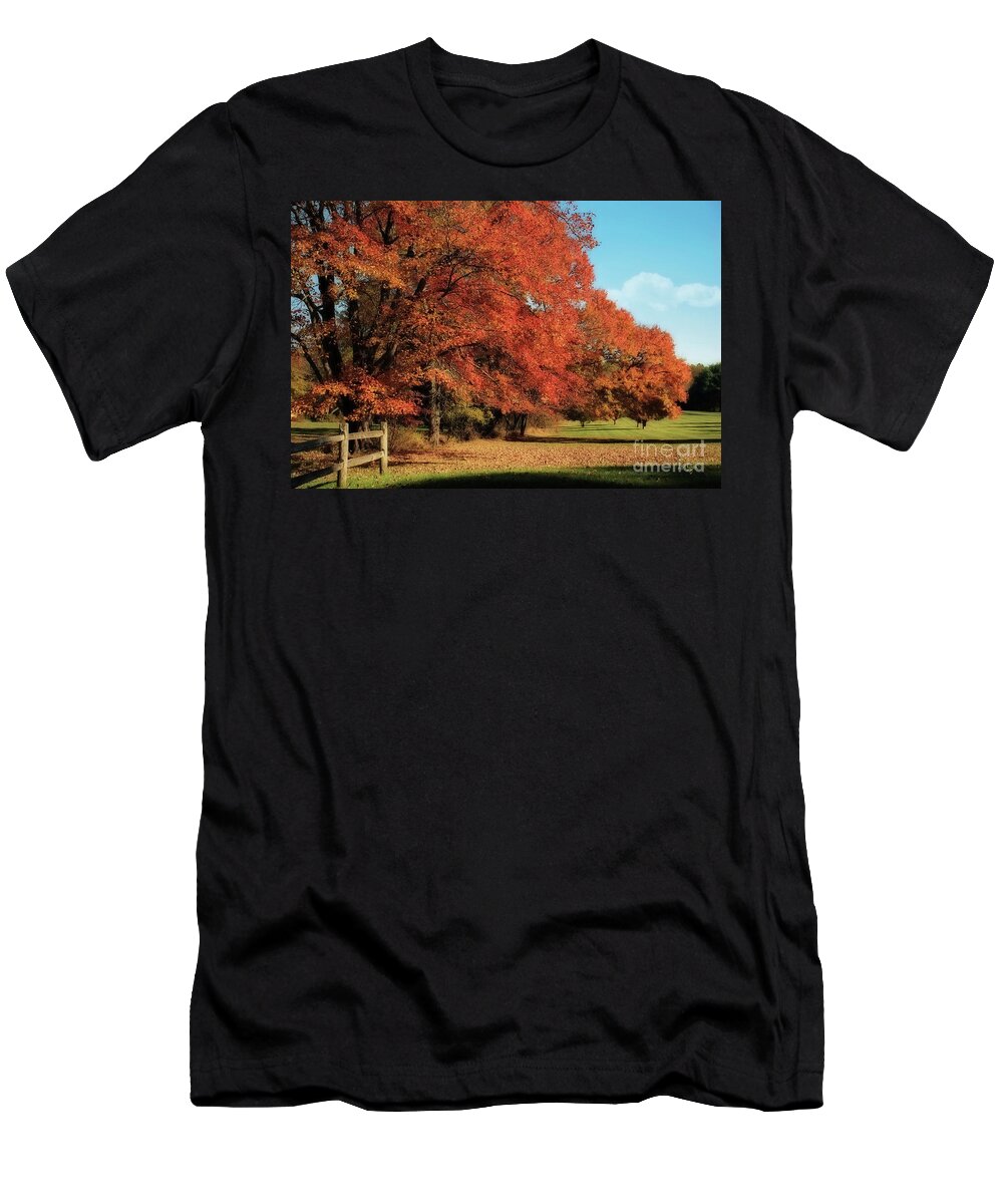 Autumn T-Shirt featuring the photograph Flame Trees by Lois Bryan
