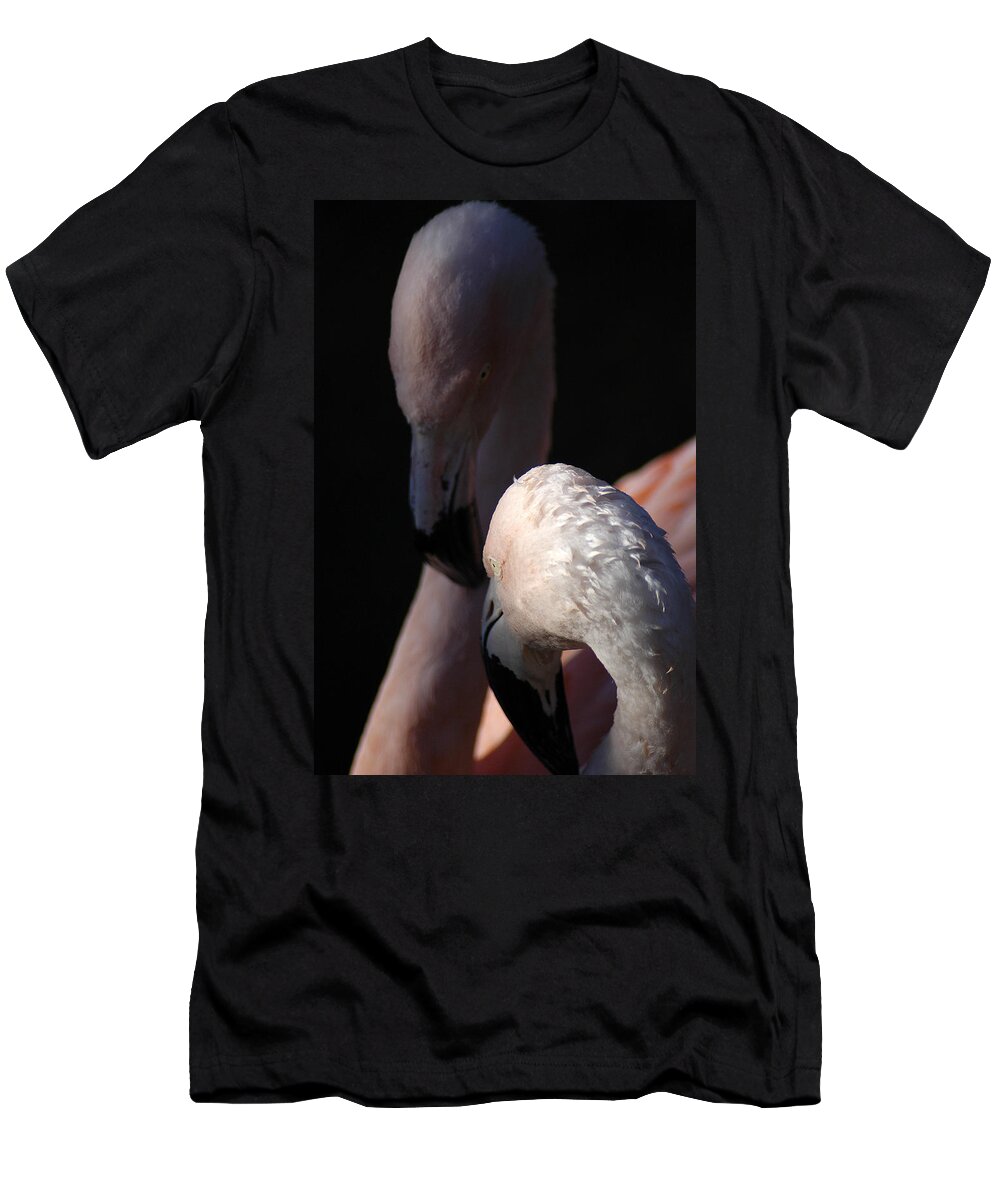 Pair T-Shirt featuring the photograph Flamingo Study - 1 by DArcy Evans