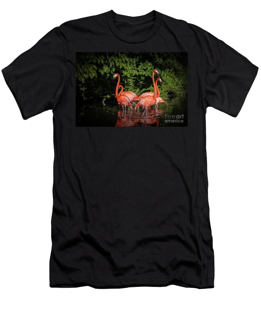 Black Background T-Shirt featuring the photograph Flamingo Tropical Paradise by Liesl Walsh